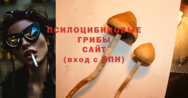 прущие крисы Новодвинск