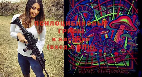 бошки Няндома