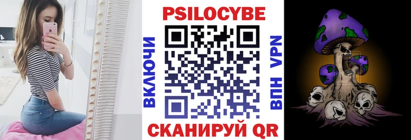 как найти   Петушки  даркнет как зайти  Галлюциногенные грибы мицелий 